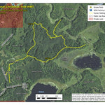 Minnesota Department of Natural Resources National Christmas Tree HWT 2022 digital map