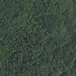Minnesota Department of Natural Resources Oak Savannah HWT 2022 digital map