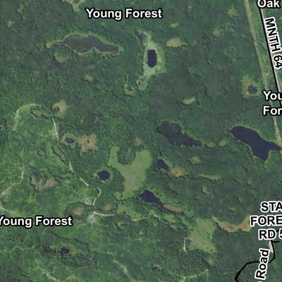 Minnesota Department of Natural Resources Paul Bunyan SE HWT 2022 digital map