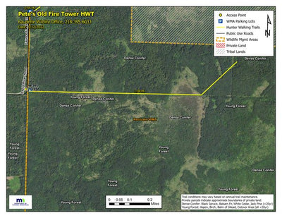 Pete's Old Fire Tower HWT 2022 Preview 1