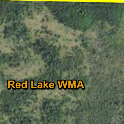 Pete's Old Fire Tower HWT 2022 Preview 2