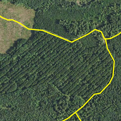 Minnesota Department of Natural Resources Pine Island 3 HWT 2022 digital map