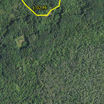Minnesota Department of Natural Resources Pine Island 3 HWT 2022 digital map