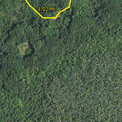 Minnesota Department of Natural Resources Pine Island 3 HWT 2022 digital map
