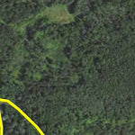 Minnesota Department of Natural Resources Pine Tree HWT 2022 digital map