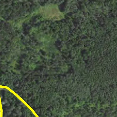 Minnesota Department of Natural Resources Pine Tree HWT 2022 digital map