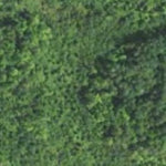 Minnesota Department of Natural Resources Red Oak HWT 2022 digital map