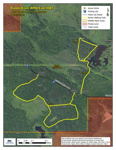 Ripple River WMA East HWT 2024 Preview 1