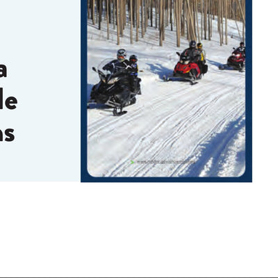 SE Minnesota Snowmobile Trail Quadrant Map Preview 3