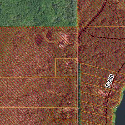 St Croix State Forest HWT 2025 Preview 3