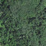Minnesota Department of Natural Resources West Bear River HWT 2022 digital map