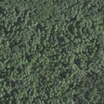 Minnesota Department of Natural Resources White Corner HWT 2022 digital map