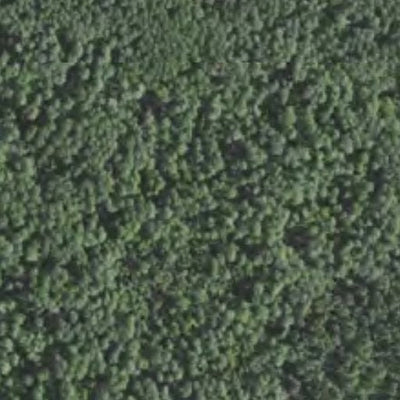 Minnesota Department of Natural Resources White Corner HWT 2022 digital map