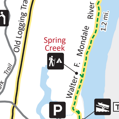 Wild River State Park Summer Trail Detail Preview 2