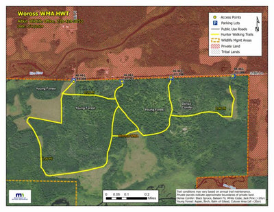 Woross WMA HWT 2024 Preview 1
