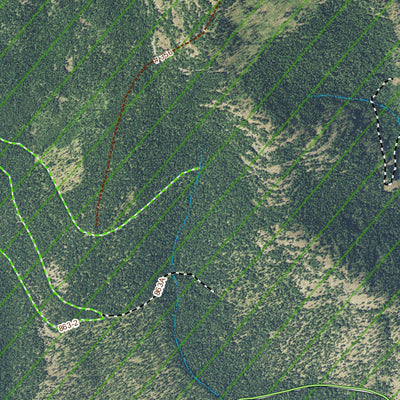MontanaGPS MT Aerial View B1 digital map