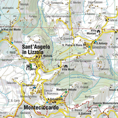 Monti editore Comune di Monteciccardo digital map