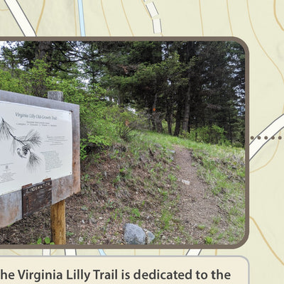 Virginia Lilly Trail Map - Okanogan Highlands Alliance Preview 3