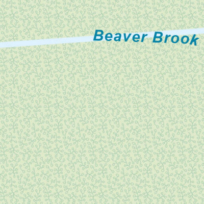 Amherst, NH - Great Meadow Preview 3