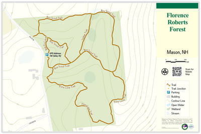 Mason, NH - Florence Roberts Forest Preview 1