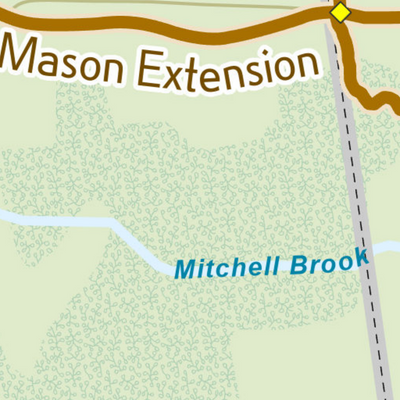 Mason, NH - Mitchell Brook Wilderness Preview 3