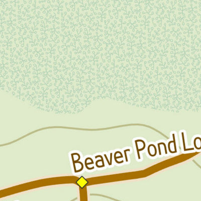 Pelham, NH - Gumpus Pond Conservation Area Preview 2