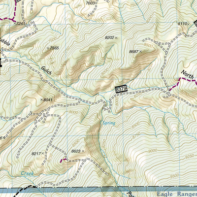 National Geographic 121 Eagle, Avon (west side) digital map