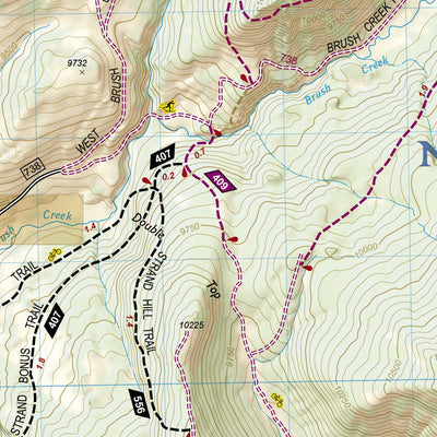 National Geographic 131 Crested Butte, Pearl Pass (west side) digital map