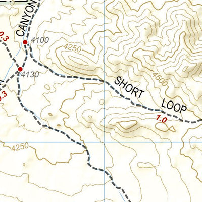National Geographic 1717 Joshua Tree Day HIkes (map 02) digital map
