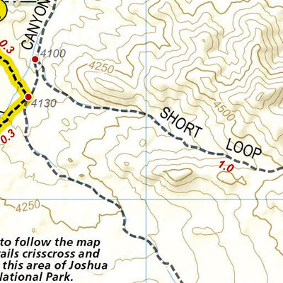 National Geographic 1717 Joshua Tree Day HIkes (map 03) digital map