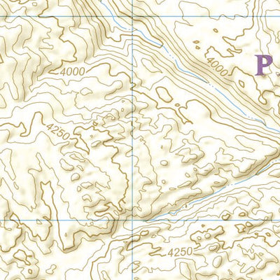 National Geographic 1717 Joshua Tree Day HIkes (map 05) digital map