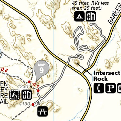 National Geographic 1717 Joshua Tree Day HIkes (map 08) digital map