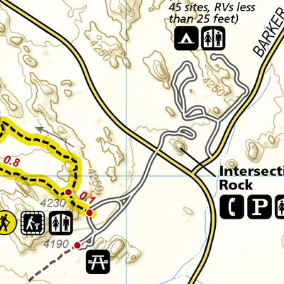 National Geographic 1717 Joshua Tree Day HIkes (map 09) digital map