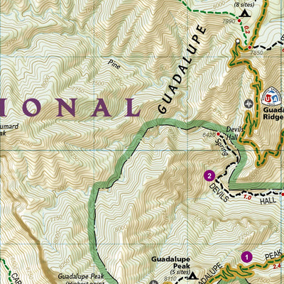 National Geographic 203 Guadalupe Mountains National Park (south side) digital map