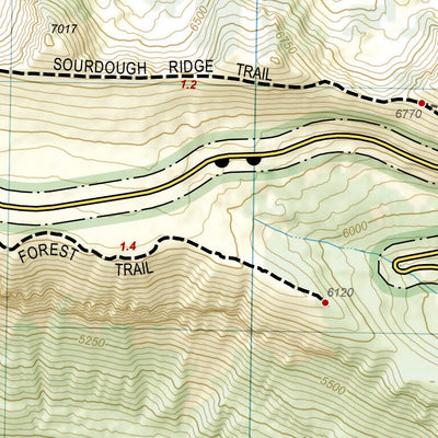 217 Mount Rainier National Park (Sunrise inset) Preview 2
