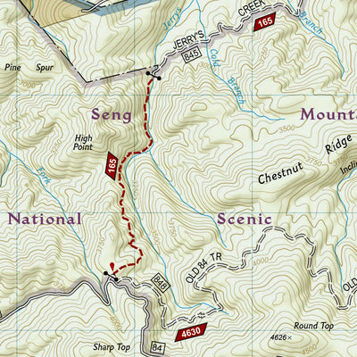 National Geographic 318 Mount Rogers High Country [Grayson Highlands State Park] (east side) digital map