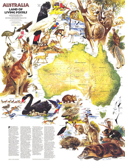 National Geographic Australia, Land Of Living Fossils 1979 digital map