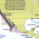 National Geographic Great Whales, Migration & Range digital map