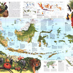 National Geographic Indonesia Educational 1996 digital map