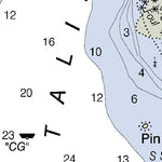 Catalina Harbor Preview 2
