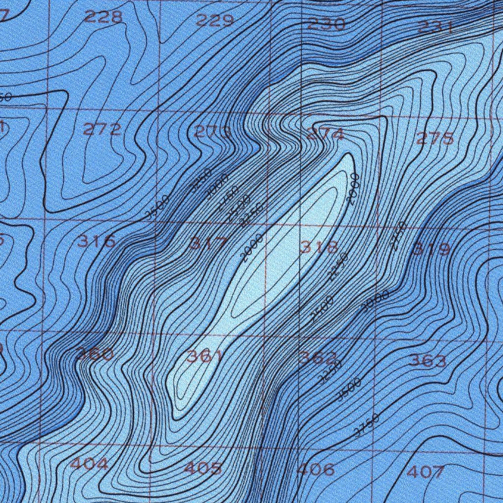 Patton Ridge (NI 10-12) Map by National Oceanographic & Atmospheric ...