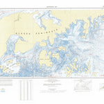 National Oceanographic & Atmospheric Administration (NOAA) Stepovak Bay (NN 4-1) digital map