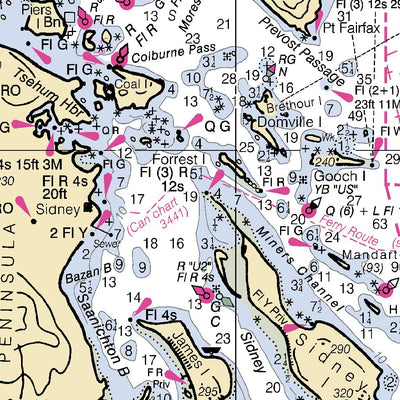 Strait Of Georgia And Strait Of Juan De Fuca Preview 3