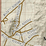 Nevada Department of Conservation and Natural Resources Dixie Valley digital map