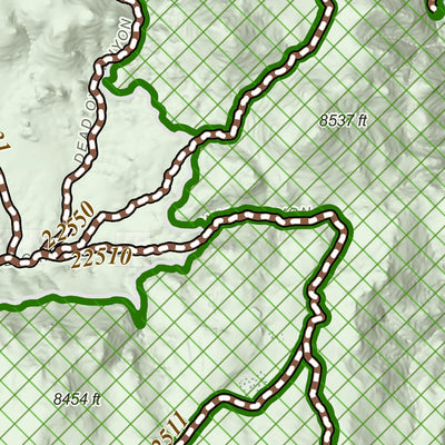 Nevada Department of Conservation and Natural Resources Pine Grove Area OHV Trails digital map