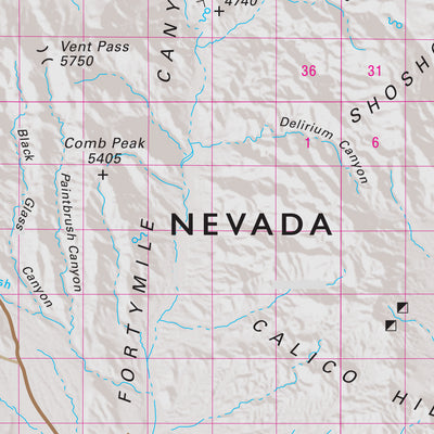 Quad 1105 - Amargosa Valley Preview 3