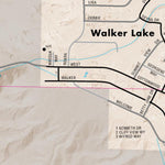 Nevada Department of Transportation Walker Lake Area Map digital map