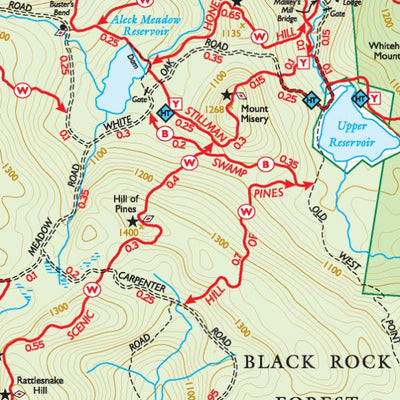 New York-New Jersey Trail Conference West Hudson (Storm King, Black Rock Forest - Map 113) : 2019 : Trail Conference digital map