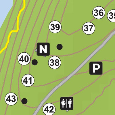 New York State Parks Clarence Fahnstock State Park Campground Map digital map
