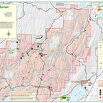 Tahuya ORV Trail System East and West Preview 1